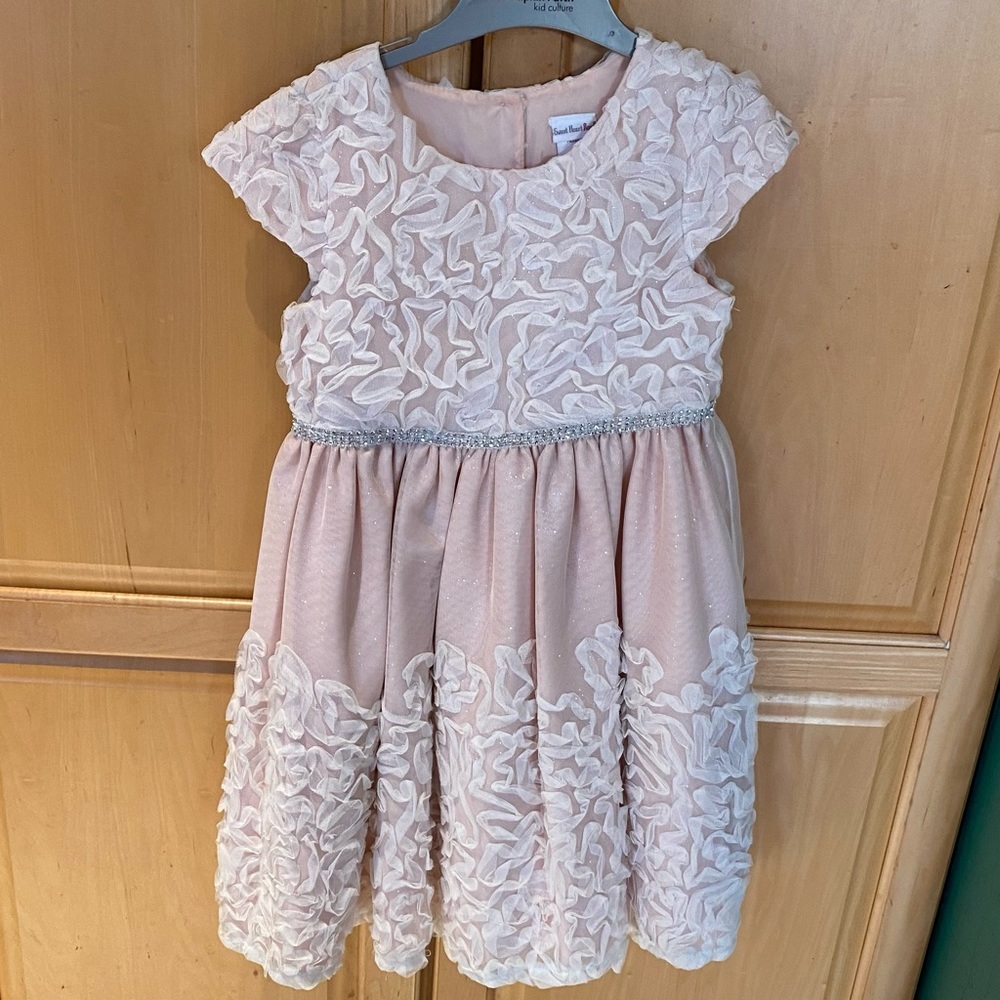 Sweetheart Rose fancy little girls dress